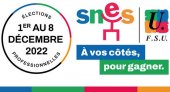 Elections pro 2022 : voter avec ... ou sans notice de vote !