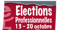 Elections professionnelles 2011