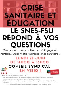 Conseil syndical dématérialisé le 22 juin : le SNES-FSU répond à vos questions !