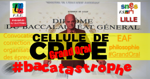 Bacatastrophe ! Grand Oral : témoignages