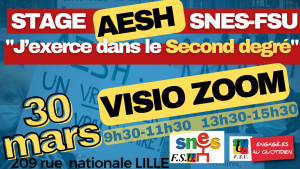 Stage AESH du 30 mars : lien pour la visio !