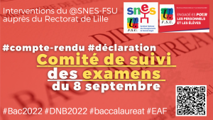 Comité de suivi des examens : les interventions Snes-FSU (BAC-DNB-BTS)