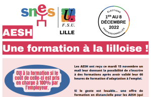 AESH : Une formation à la lilloise !