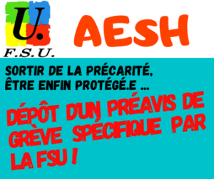 Préavis de grève AESH - février 2021