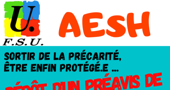 Préavis de grève AESH - février 2021