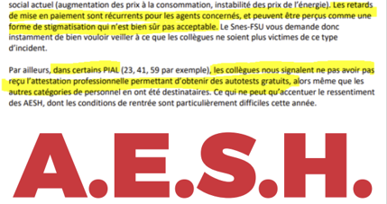 AESH : intervention Snes-FSU sur les retards de paiement et l'accès aux (…)