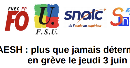 Pourquoi le SNES-FSU appelle-t-il les AESH à la grève le 3 juin ?