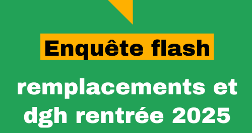 Enquête flash : remplacements et dgh rentrée 2025