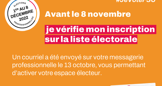 Elections pro 2022 : je vérifie mon inscription sur les listes électorales