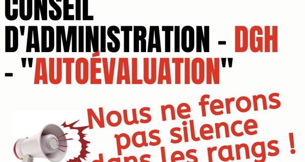 DGH rentrée 2021, « autoévaluation » : des exemples de textes rédigés dans (…)