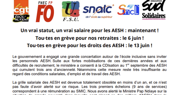 Les 6 et 13 juin : pour un vrai statut, un vrai salaire pour les AESH !