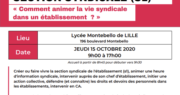 Stage « Comment animer la vie syndicale dans un établissement » : vous êtes (…)