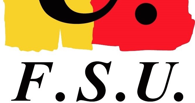 Le SNES-FSU dans les instances (élus, déclarations, comptes-rendus...)