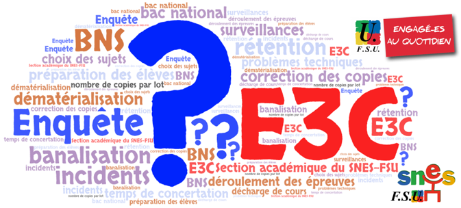 Enquête E3C