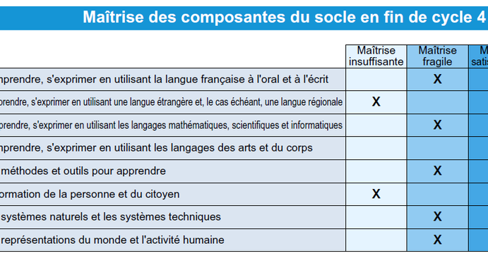 DNB et bilan de fin de cycle 4 : ce qu'il faut savoir pour résister aux (…)