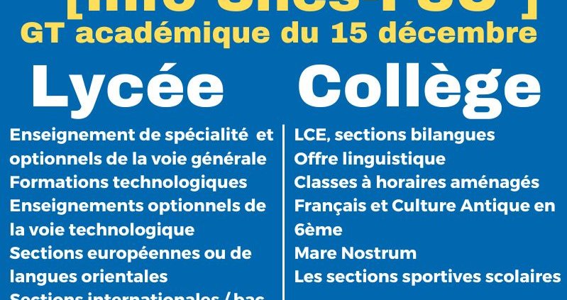 Prépa rentrée 2024 et carte des formations en collège et lycée : groupe de (…)