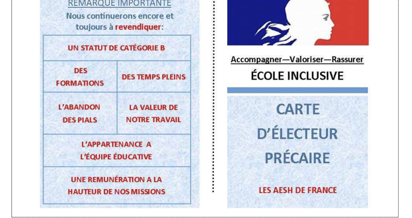 AESH ! Envoyons au Président notre Carte d'électeur précaire !