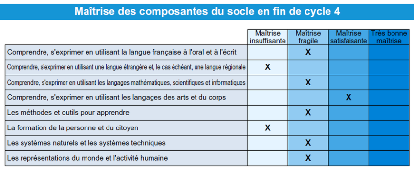 DNB et bilan de fin de cycle 4 : ce qu'il faut savoir pour résister aux (…)