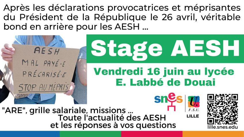 Stage AESH Snes-FSU du 16 juin à DOUAI