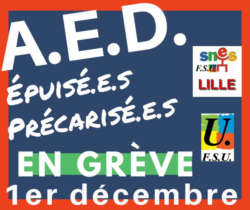 La section académique du SNES-FSU appelle les AED à la grève le 1er décembre