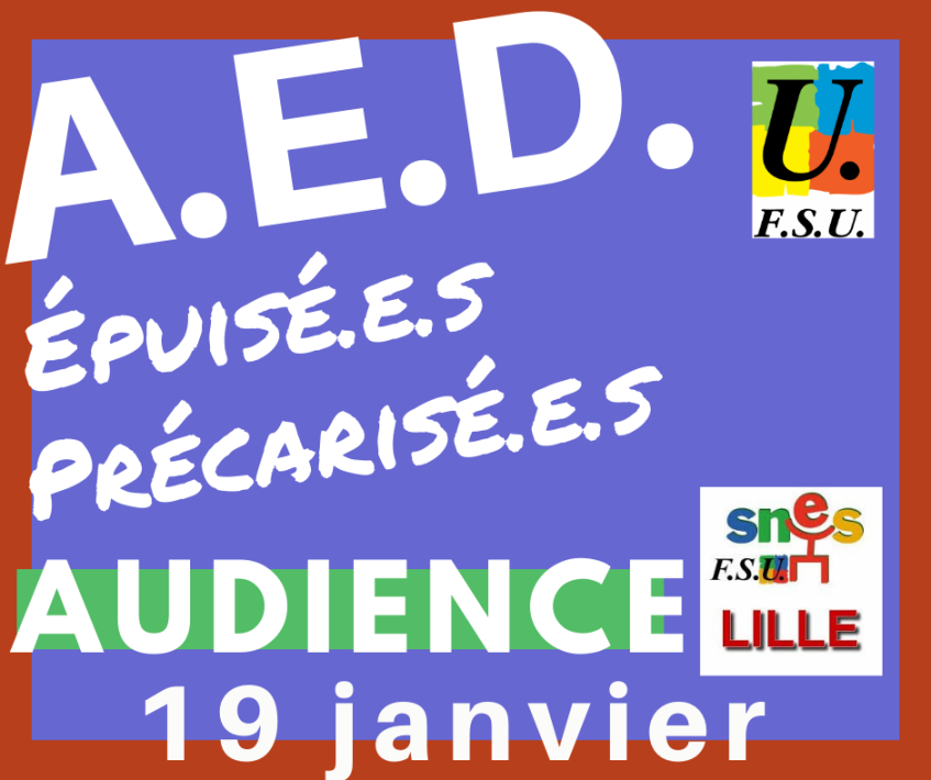 Audience SNES-FSU AED et Préavis de grève FSU couvrant les actions Précarité (…)