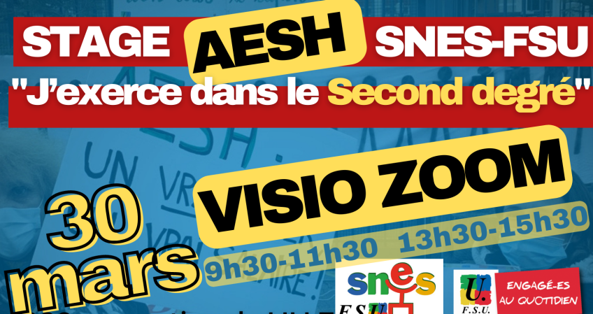 Stage AESH du 30 mars : lien pour la visio !