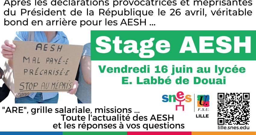 Stage AESH Snes-FSU du 16 juin à DOUAI